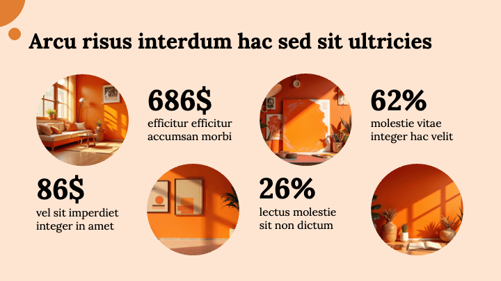 Bold Tangerine slide 4
